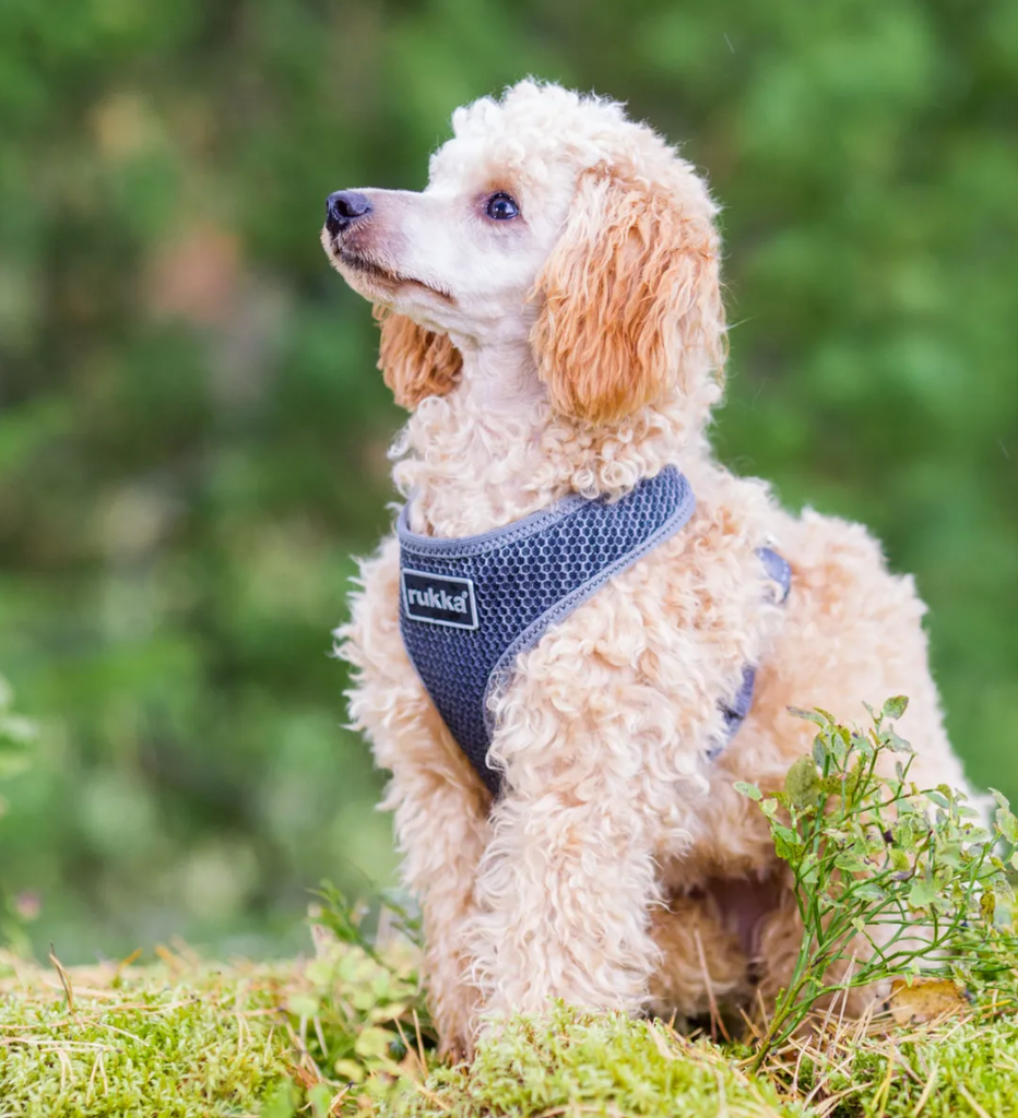 Scherm­afbeelding 2026-03-12 om 20.11.39.webp