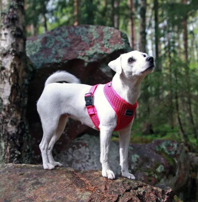 Scherm­afbeelding 2026-03-12 om 20.12.54.webp