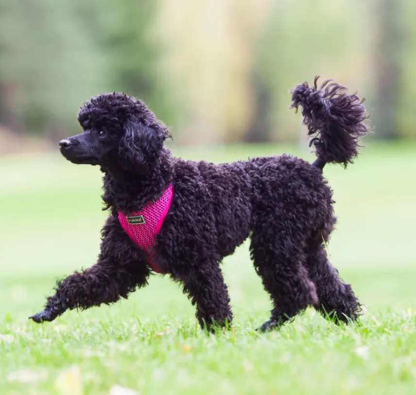 Scherm­afbeelding 2026-03-12 om 20.13.31.webp