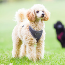 Scherm­afbeelding 2026-03-12 om 20.11.29.webp