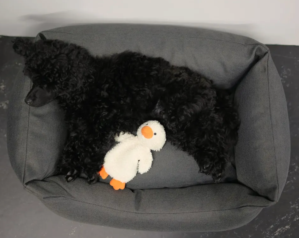 Scherm­afbeelding 2026-03-12 om 21.10.36.webp