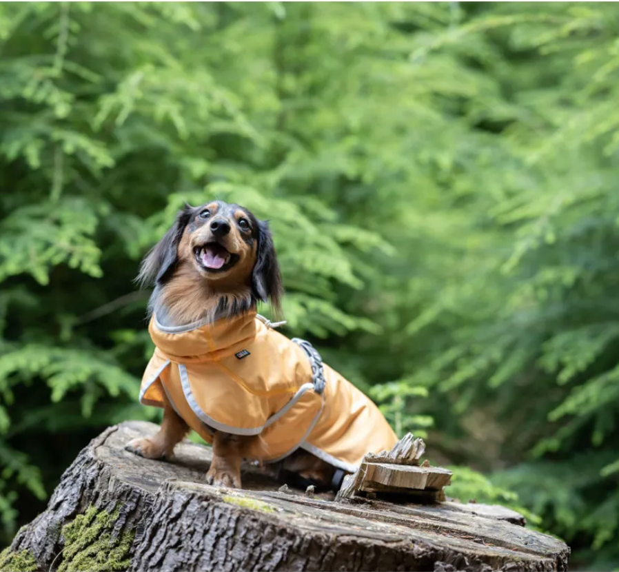 Scherm­afbeelding 2026-03-13 om 09.44.36.webp