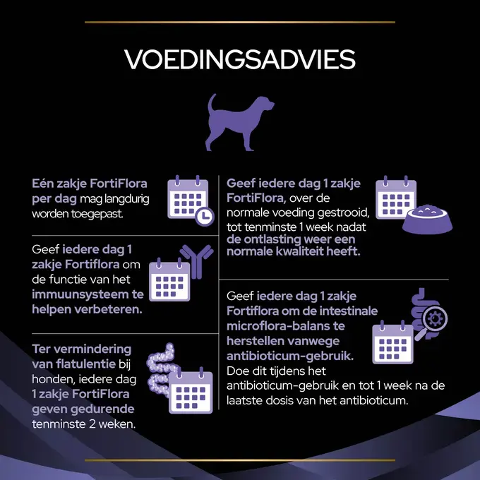 6._ff_hond_voedingsadvies.jpg.webp