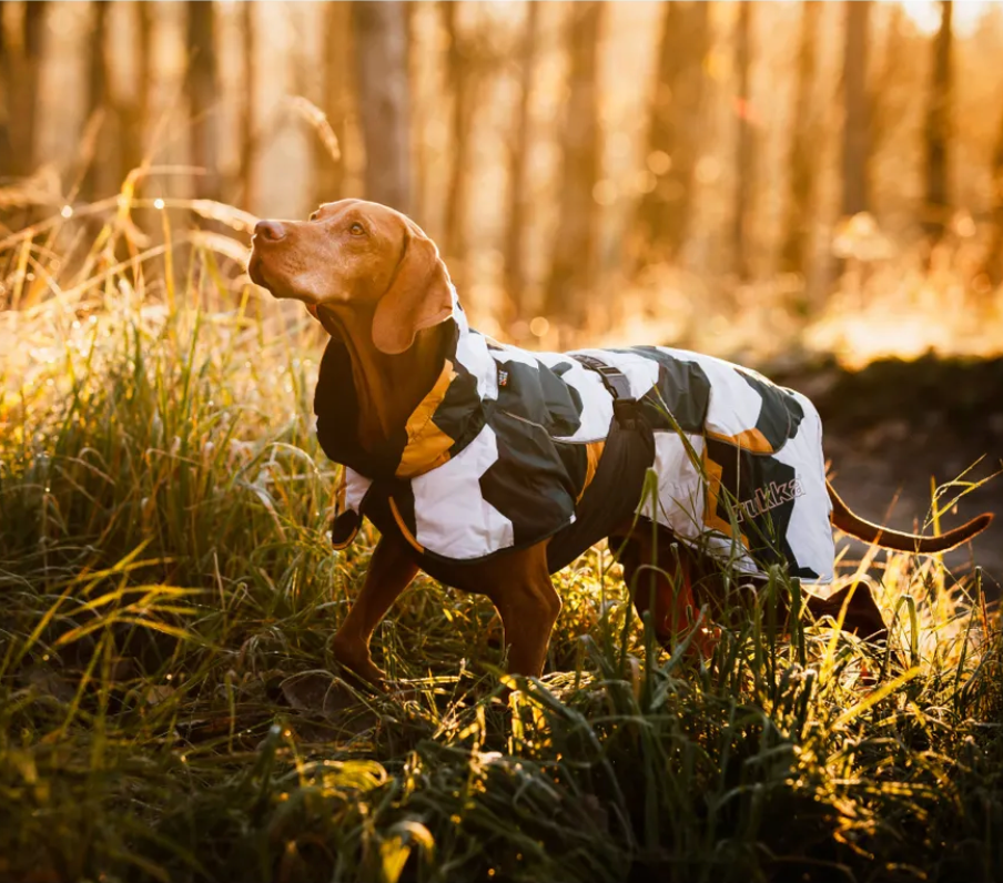 Scherm­afbeelding 2026-04-02 om 16.42.27.webp