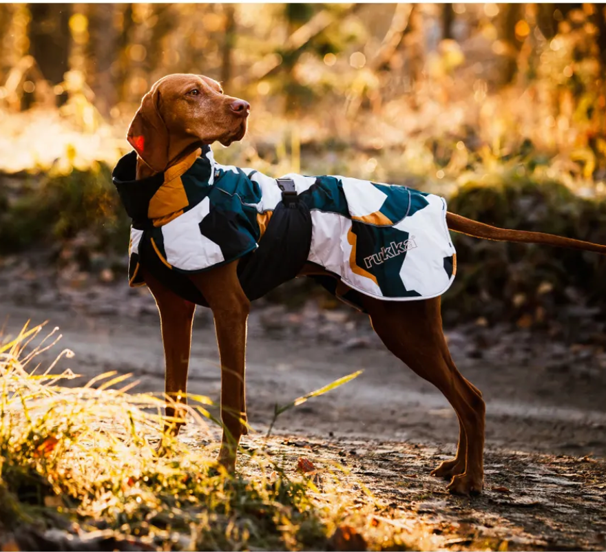 Scherm­afbeelding 2026-04-02 om 16.42.45.webp