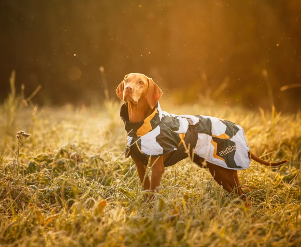 Scherm­afbeelding 2026-04-02 om 16.42.18.webp