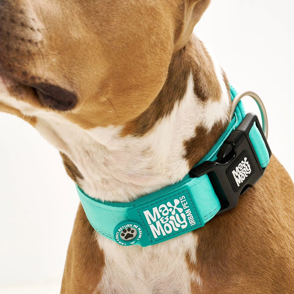 MaxMolly_Turquoise_Wide_Collar_mood1.jpg.webp