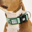 MaxMolly_Jade_Wide_Collar_mood1.jpg.webp