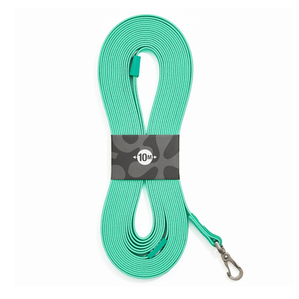 MaxMolly_Turquoise_Trackingleash_10m.png.webp
