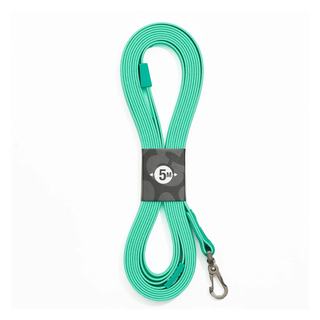 MaxMolly_Turquoise_Trackingleash_5m.png.webp