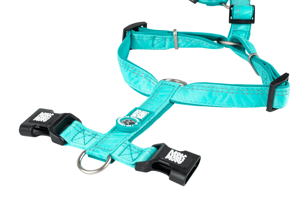 MATRIX2.0TURQUOISE_SKU_H-Harness_3.png.webp