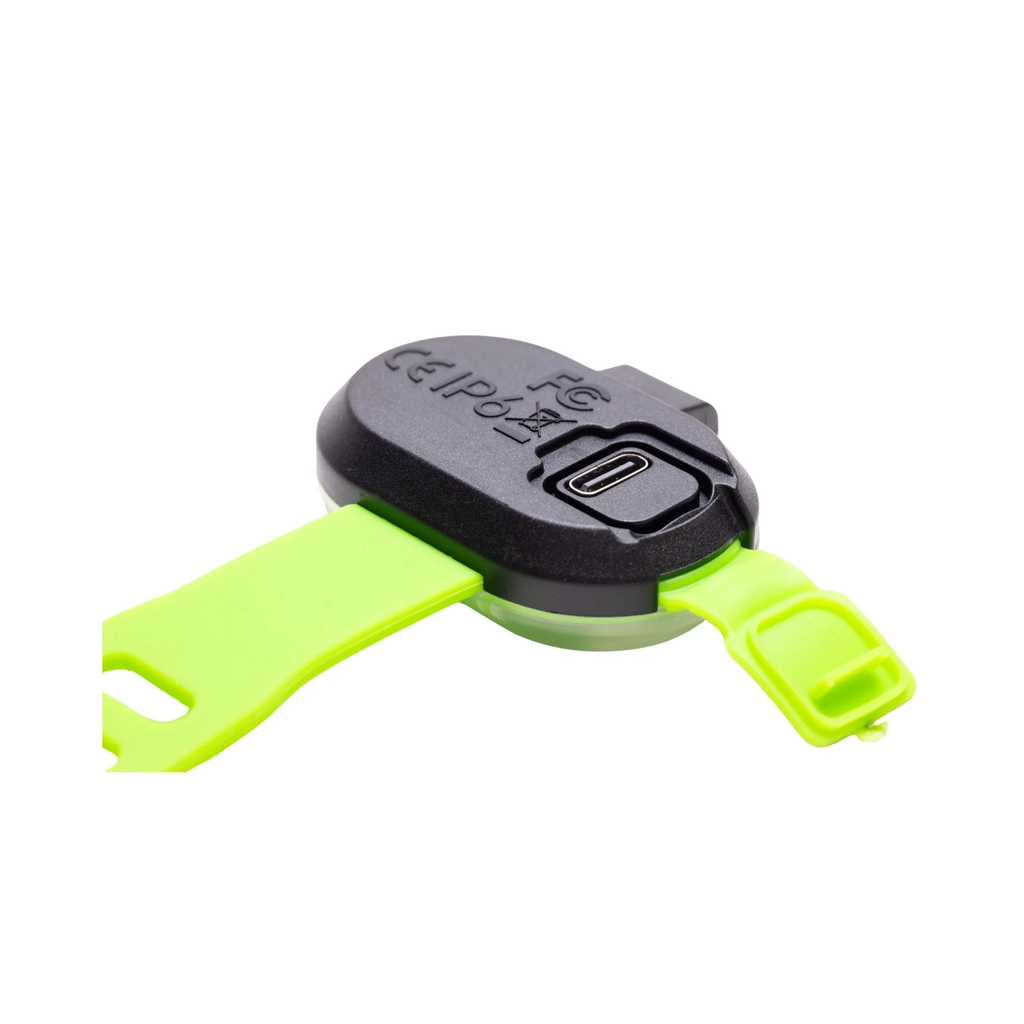 MaxMolly_LED_2025_OriginalGear_Green_USBC_2000.jpg.webp