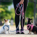 MaxMolly_Rose_Ocean_RopeLeash_AirVest1_3d4b2246-3697-41ad-83da-63960b516029.jpg.webp