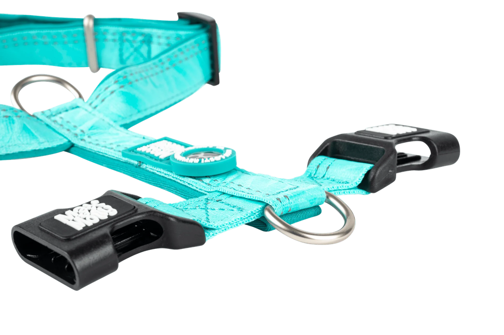 MATRIX2.0TURQUOISE_SKU_H-Harness_2.png.webp
