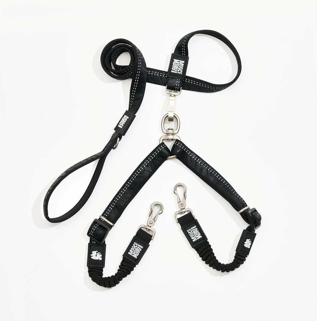 MaxMolly_Black_Doubleleash1.jpg.webp