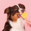 Scherm­afbeelding 2026-04-12 om 21.56.33.webp