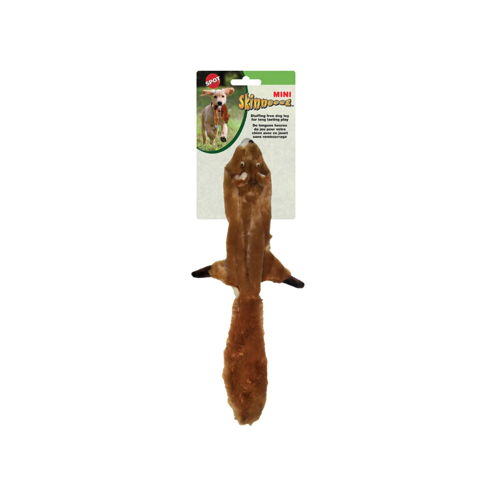 Skinneeez_Squirrel_small_8fbf8f1f-e5e6-48d1-a8ba-143452f3125a.jpg.webp