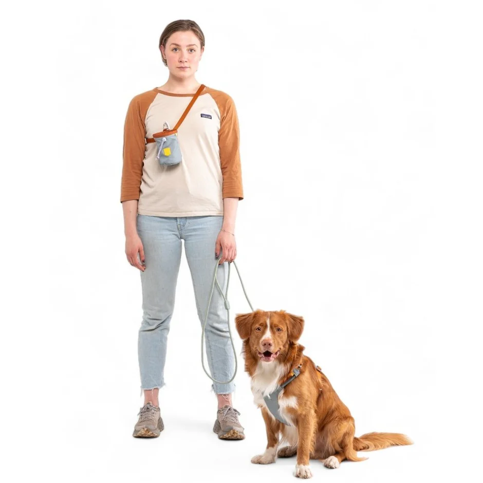 WoollyWolfRopeLeash_GlacierGreen_RPLSH149-18010_-2.jpg.webp