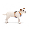 Alpha360Harness_Lavendermix_HRNSAL194-LHRNSAL194-MHRNSAL194-SHRNSAL194-XLHRNSAL194-XS_-4.jpg.webp