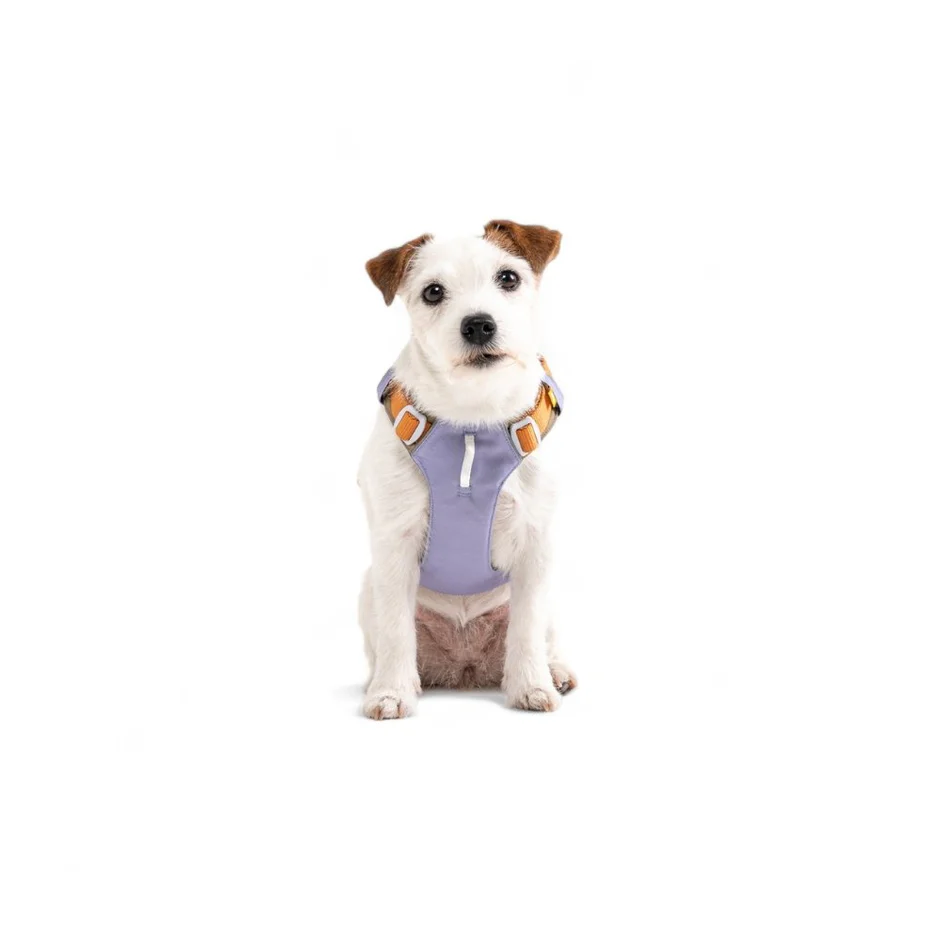 Alpha360Harness_Lavendermix_HRNSAL194-LHRNSAL194-MHRNSAL194-SHRNSAL194-XLHRNSAL194-XS_-3.jpg.webp