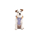 Alpha360Harness_Lavendermix_HRNSAL194-LHRNSAL194-MHRNSAL194-SHRNSAL194-XLHRNSAL194-XS_-3.jpg.webp
