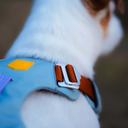 Alpha360Harness_GlacierGreenMix_HRNSAL149-LHRNSAL149-MHRNSAL149-SHRNSAL149-XLHRNSAL149-XS_-9.jpg.webp