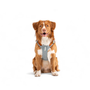 Alpha360Harness_GlacierGreenMix_HRNSAL149-LHRNSAL149-MHRNSAL149-SHRNSAL149-XLHRNSAL149-XS_-5.jpg.webp