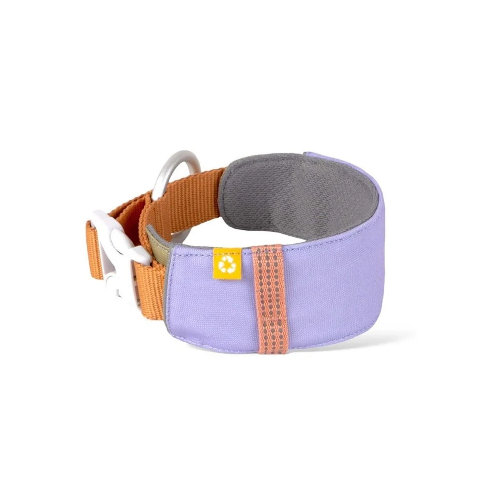 Alpha360Collar_Lavendermix_CLRAL194-LCLRAL194-MCLRAL194-SCLRAL194-XL_-2.jpg.webp