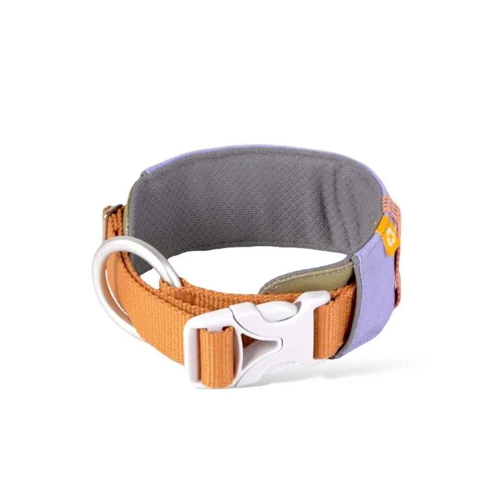 Alpha360Collar_Lavendermix_CLRAL194-LCLRAL194-MCLRAL194-SCLRAL194-XL_-3.jpg.webp