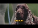 youtube - [Video]