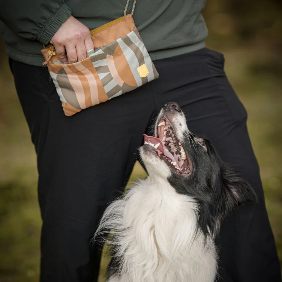 CloudbeamAccessoryBag_ABCLB359_-4.jpg.webp
