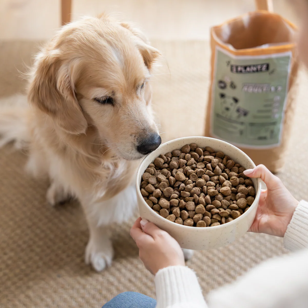 VeganDryfood3_1X1_5db2e155-a9fd-4900-af4b-d3830fed0328.png.webp