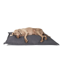 classic_pillow_hond.jpg.webp