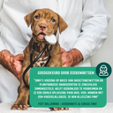 Nachtrust-Gewrichten-Photo-4.jpg.webp