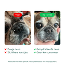 Neus-Poot-5_296e4419-a63d-4816-848e-2753bc61de37.png.webp