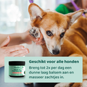 Neus-Poot-7_cc4e4eaa-215a-4313-9237-8fa6bf3d81fb.png.webp