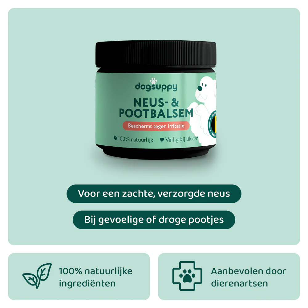 Neus-Poot-1_4b5813f4-e062-4196-8dc0-5114f3d42ccd.png.webp