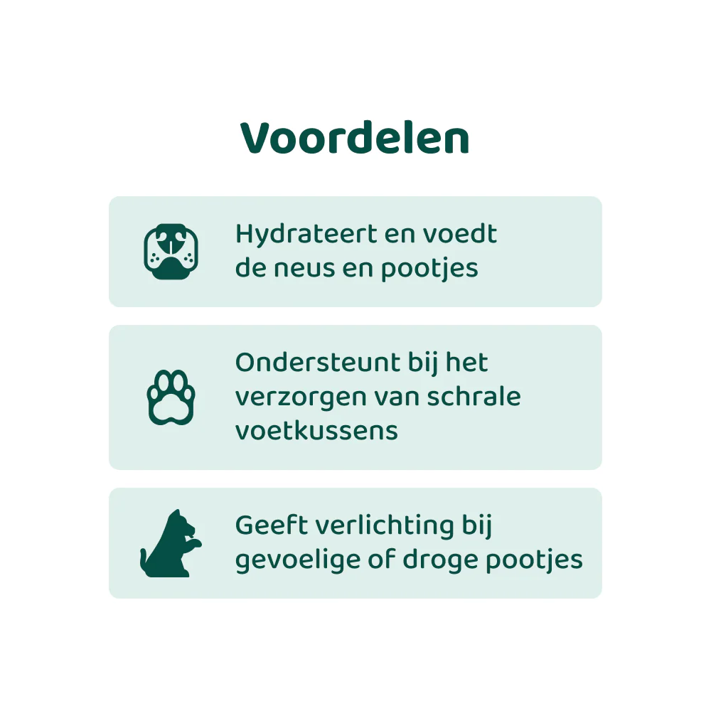 Neus-Poot-3_9400515d-22ff-4391-b50e-bc12ef1dd186.png.webp
