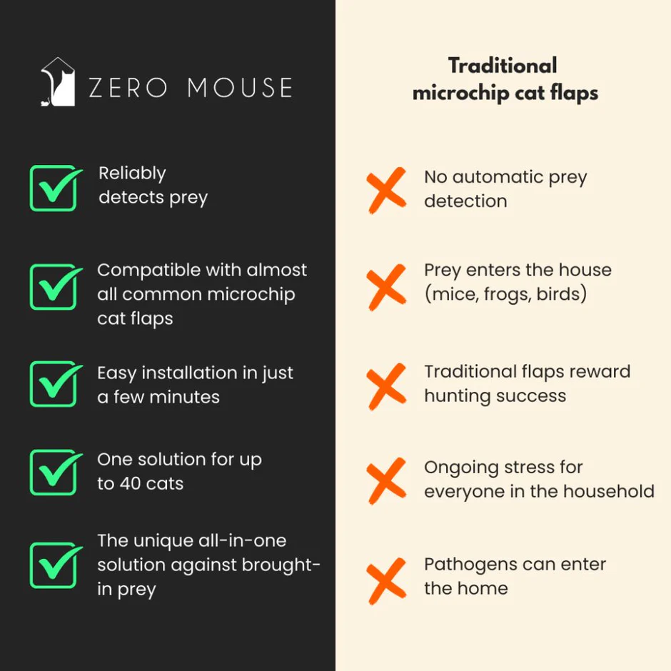 Zeromouse_09.jpg.webp