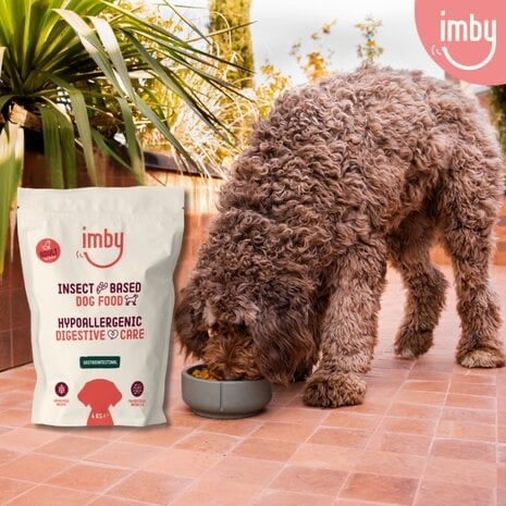 imby-i2mby-gastrointestinal-insect-based-dry-food-a.webp