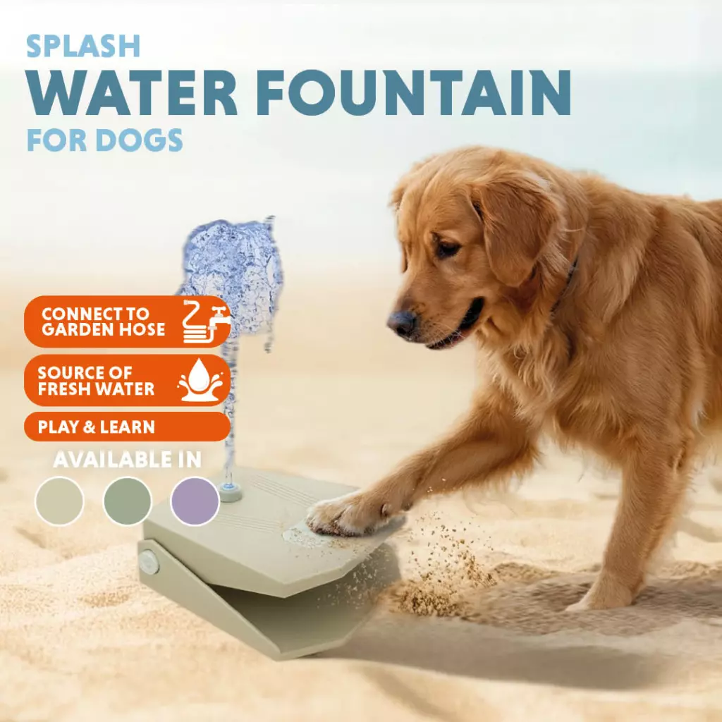 Linkedin-coolpets7-main.webp