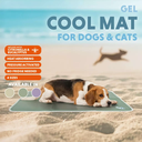 Linkedin-coolpets2-main.webp