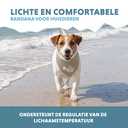 COOL030S_03-main.webp