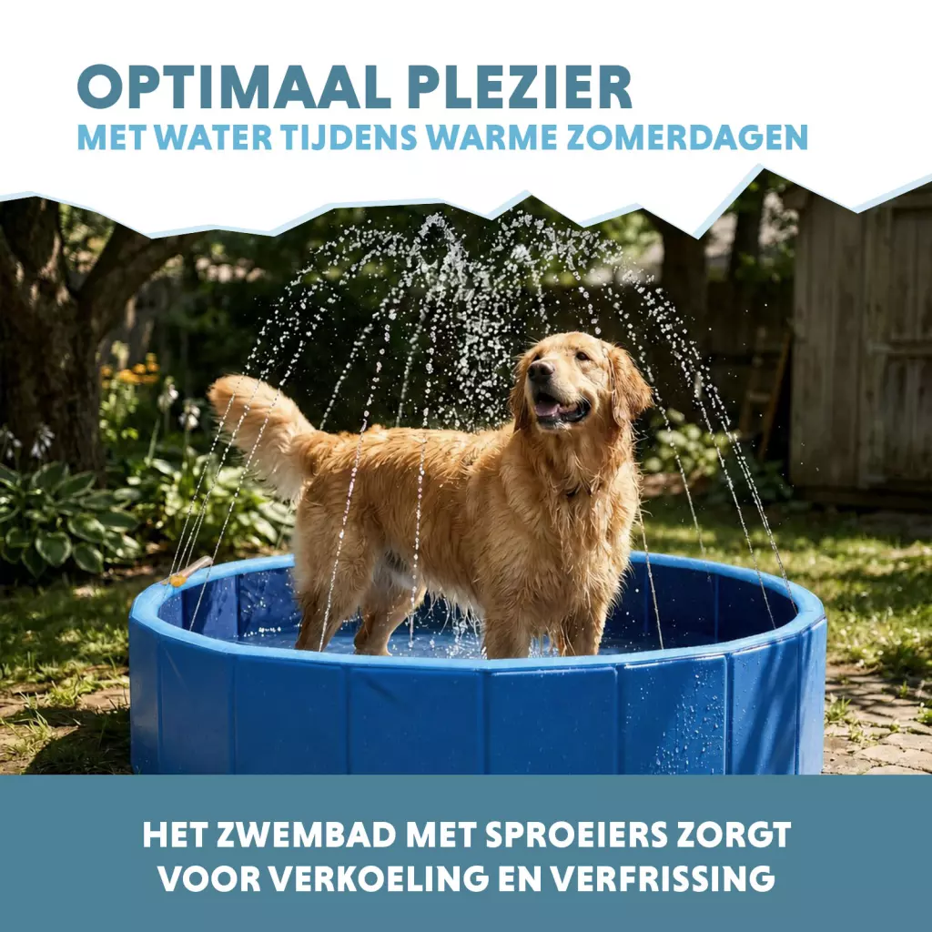 COOL019Z_03-main.webp