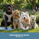 COOL034S_08-main.webp