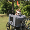 KINGDog_PetBikeTrailerConversionKit6.webp