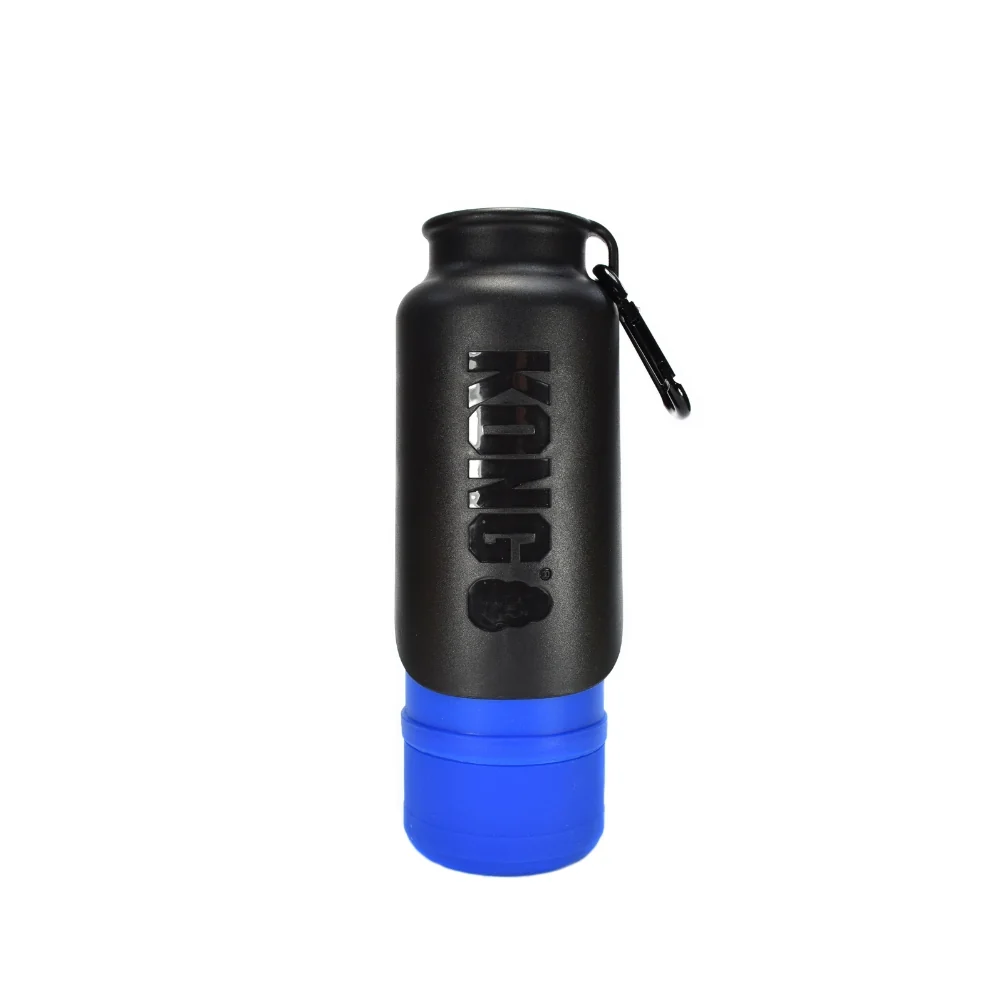 KongH2OInsulatedWaterBottle_blue.jpg.webp