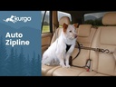 youtube - [Video]