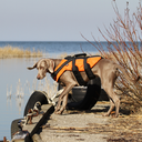 IMG_3554.webp