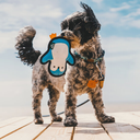 becdo-beco-rough-tough-recycled-pinguin-small.webp